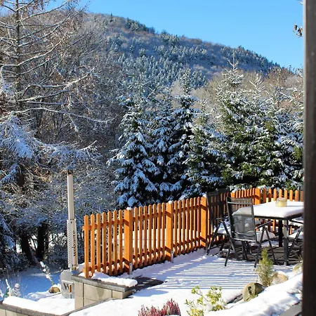 1000 Berge Kamin & Whirlpool Holiday home Winterberg