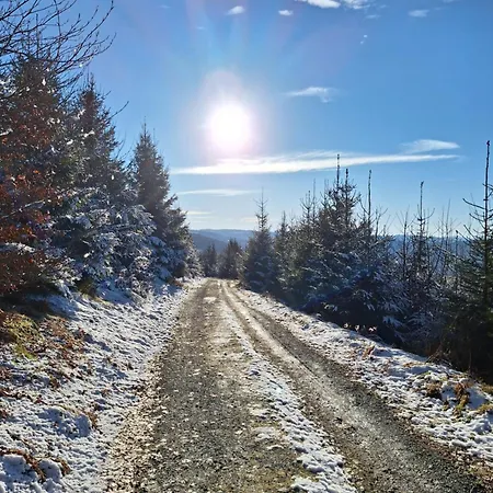 1000 Berge Kamin & Whirlpool Winterberg