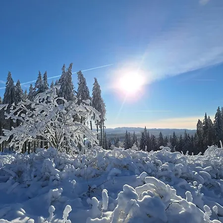 1000 Berge Kamin&whirlpool Ferienhaus