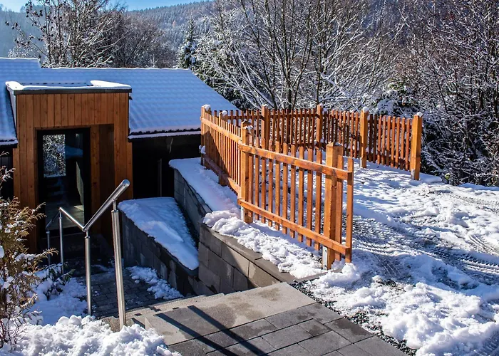 1000 Berge Kamin & Whirlpool Holiday home Winterberg