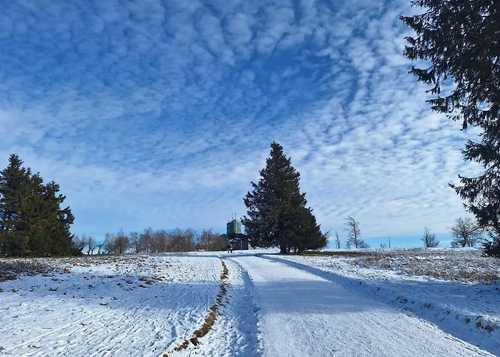 1000 Berge Kamin & Whirlpool Holiday home Winterberg